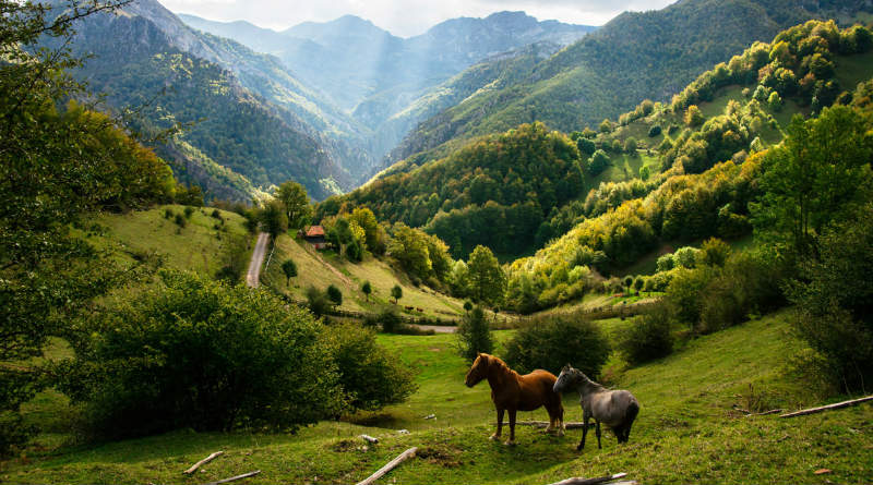 turismo rural en Asturias