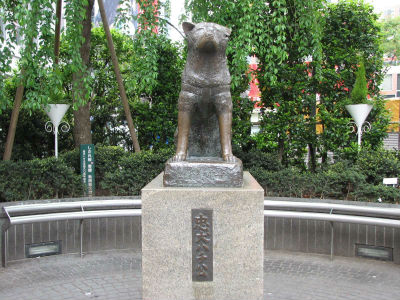 Estatua de Hachiko