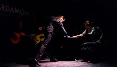 Cardamomo tablao flamenco de Madrid