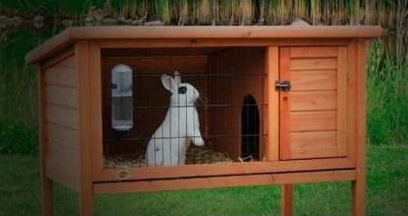 tipos de jaulas para conejos