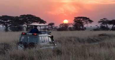 Viaje de safari a Tanzania y kenia