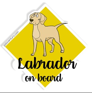 Pegatina Labrador
