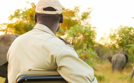 Viajes a África