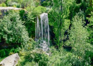 Naturaleza