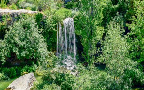 Naturaleza