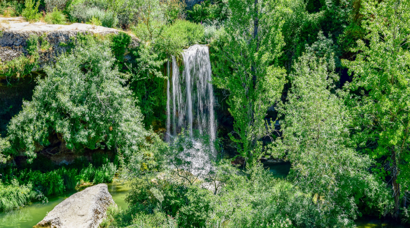 Naturaleza